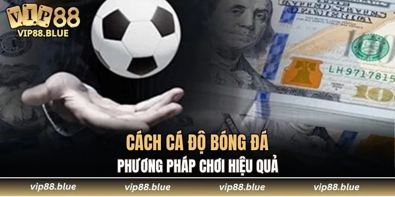 cách cá độ bóng đá