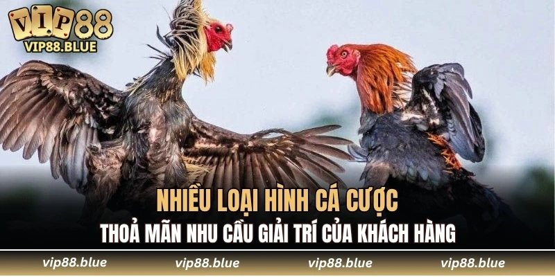 Nhiều loại hình cá cược thoả mãn nhu cầu giải trí của khách hàng