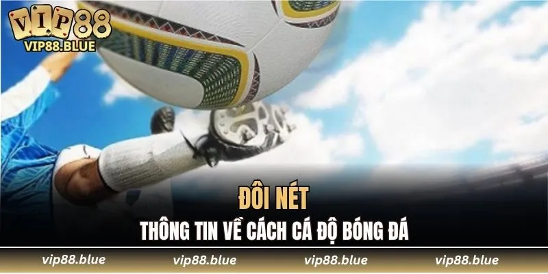 Tìm hiểu về cách cá độ bóng đá chuẩn