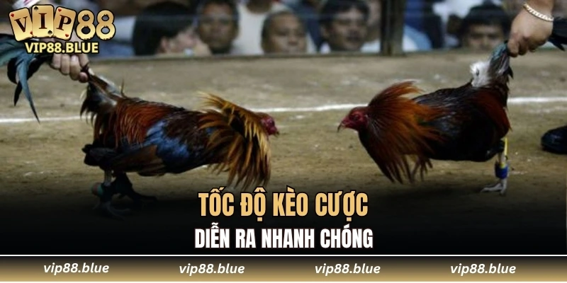 Tốc độ kèo cược diễn ra nhanh chóng